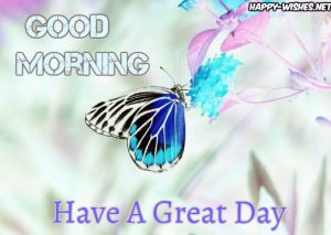 30 Good Morning With Butterfly Images and Quotes