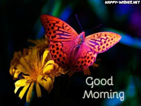 Cute Good Morning wishes