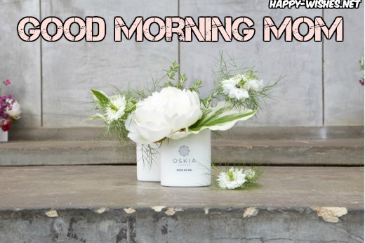 Cute flower vass Good morning images