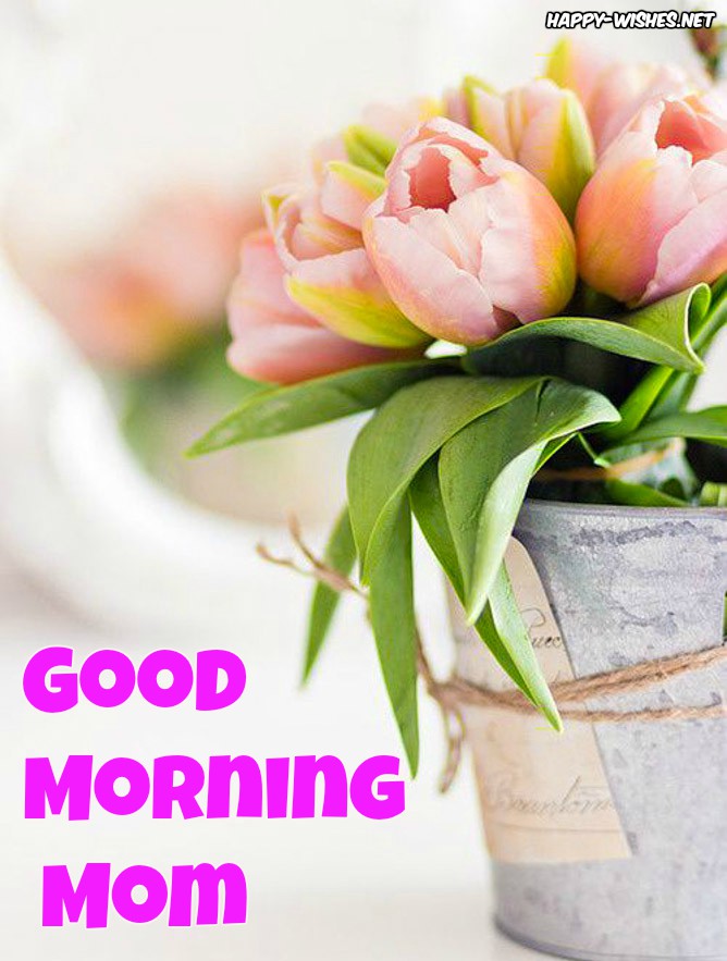 25 Good Morning Wishes For Mom Messages Images