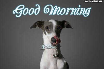 Cute puppy Good morning images