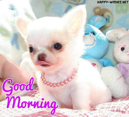 Female puppy Good Morning Images for Puppy Lovers