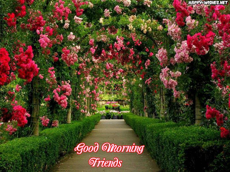 98 Good Morning Wishes For Friends Quotes Messages