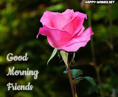 98 Good Morning Wishes For Friends Quotes Messages