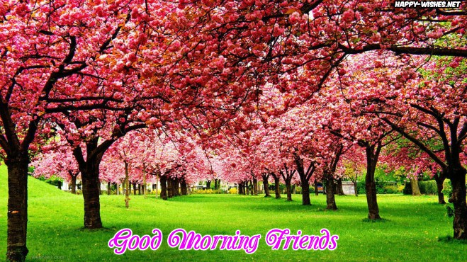 Good Morning Friends beautful tree images