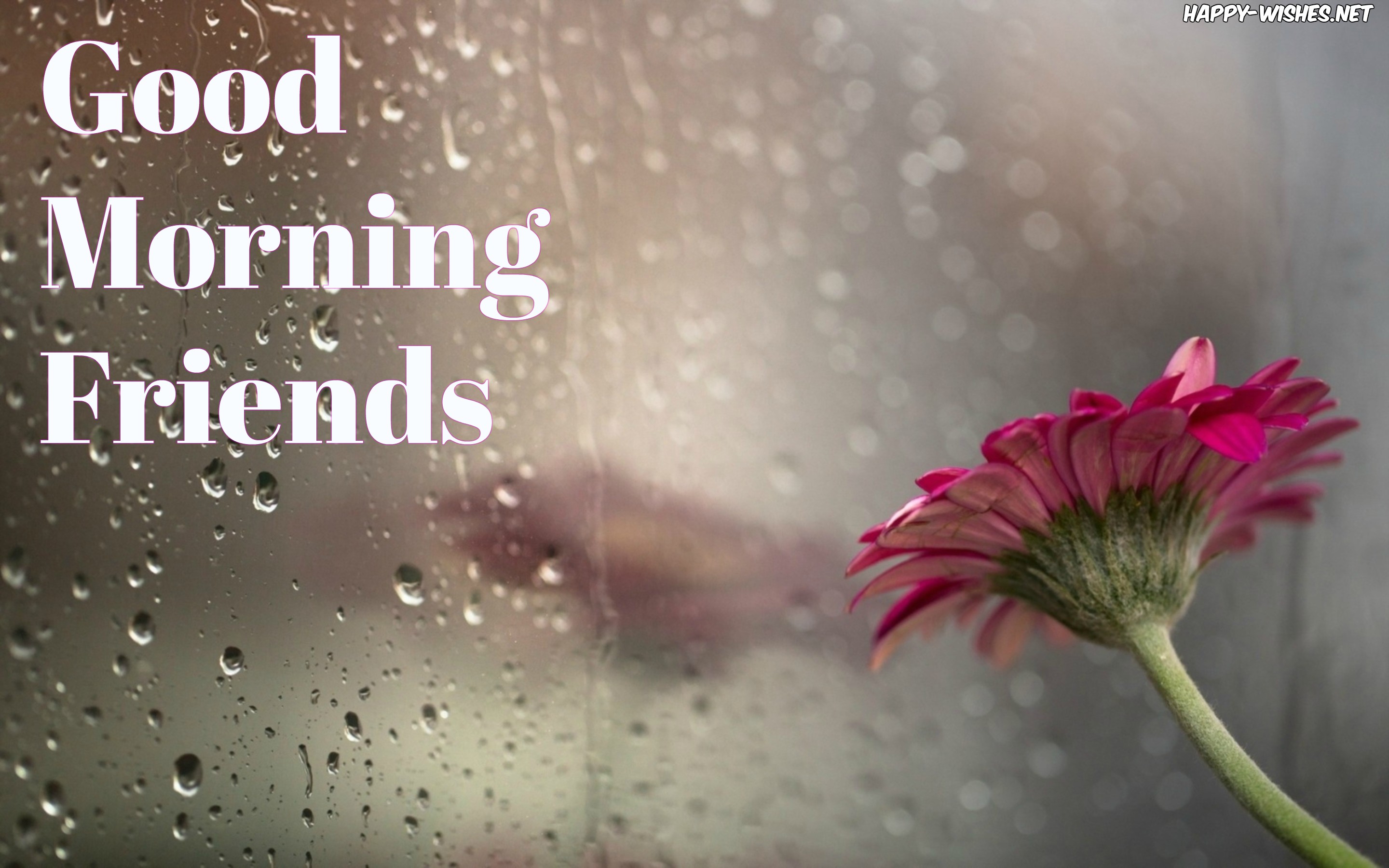 98+ Good Morning Wishes For Friends - Quotes & Messages