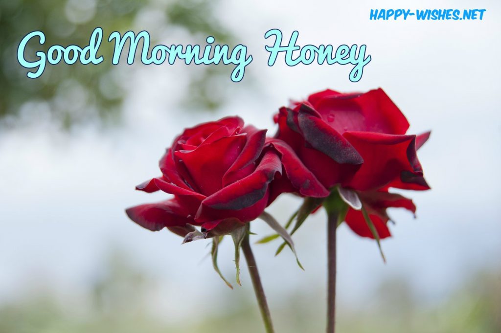 Good Morning Honey wishes Pictures