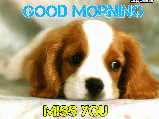 Good Morning Images for Puppy Lovers miss you