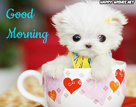Good Morning Images for puppy lovers cute images