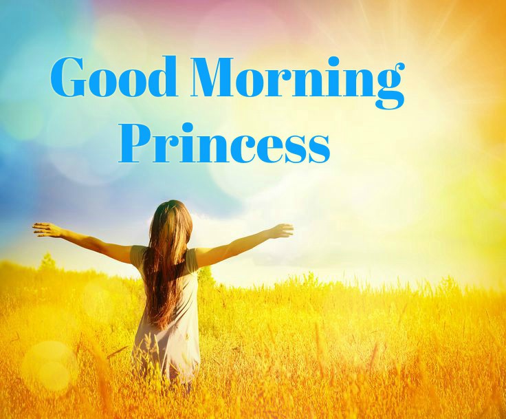 Good Morning Princess Wishes With Girl In Background images