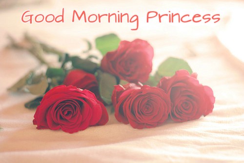 Good Morning Princess With Rose Images