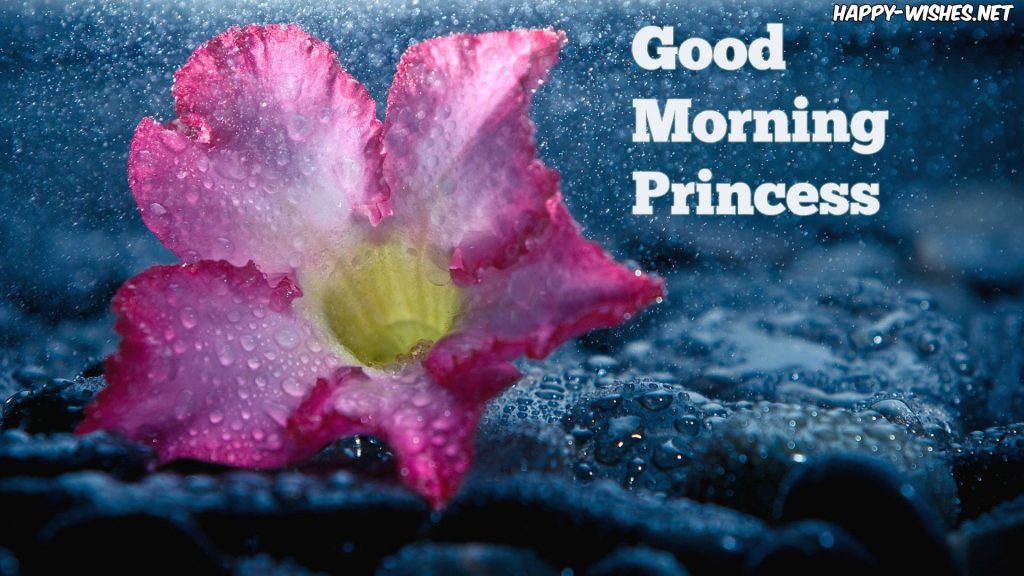 Good Morning Princess wishes images