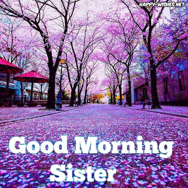 Good Morning Sister With Beautiful Nature BackGround Images