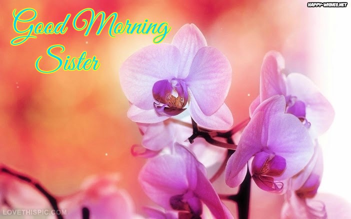 Good Morning Sister with Orchid Flower Backgrounds