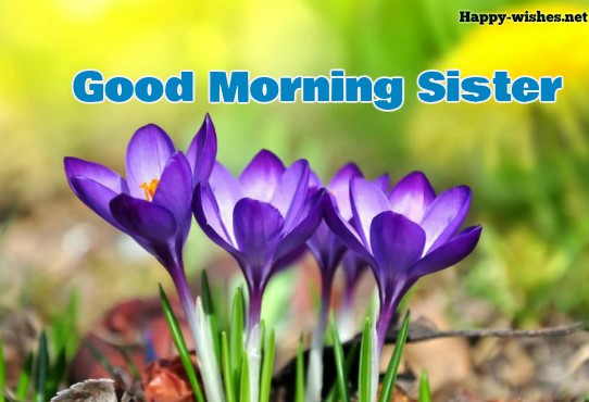 Good Morning Sister with beautiful background images