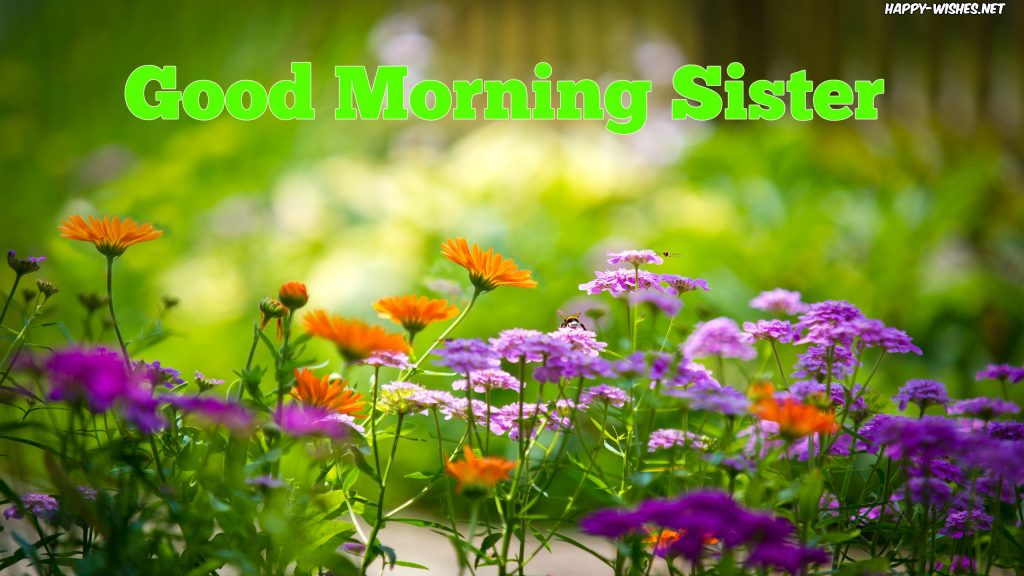 Good Morning Sister with flower back ground images