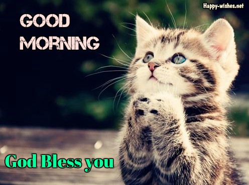 Good Morning Wishes For Cat Lovers images with May God Bless You