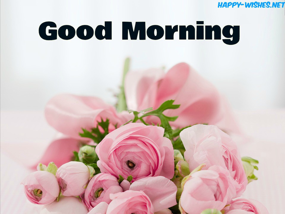 Good Morning Wishes With Pink Roses Pictures