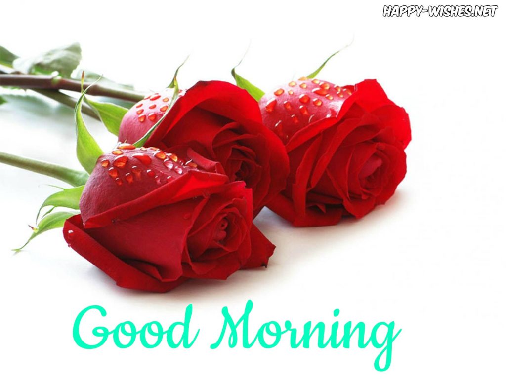 Good Morning Wishes With Red Rose Pictures
