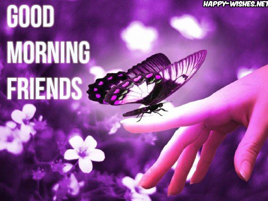 Good Morning dear Friend wishes