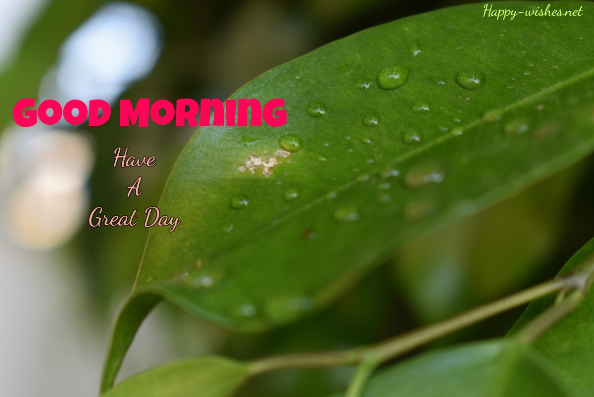 Good Morning in Rainy Days Wishes