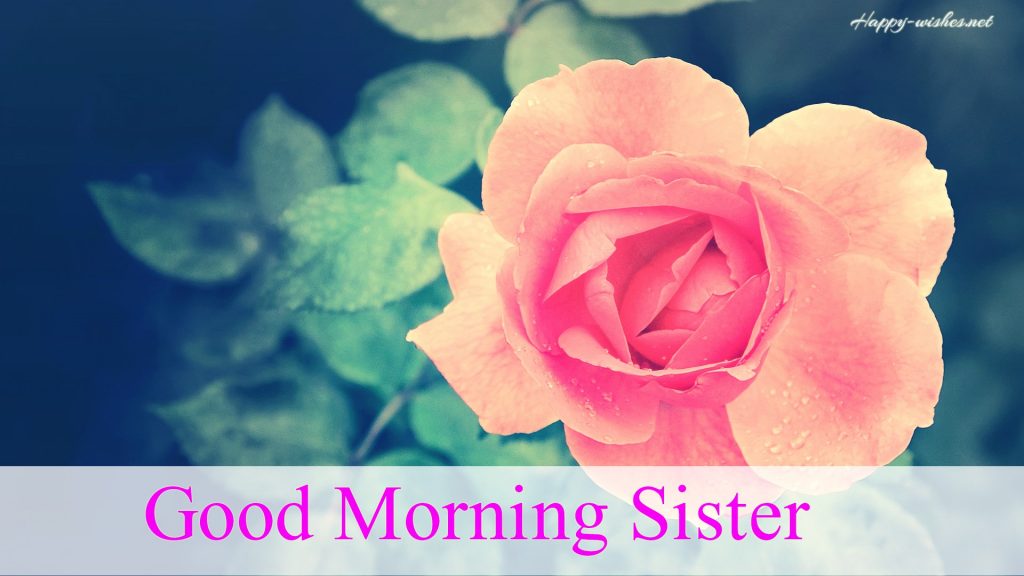 30 Good Morning Wishes For Sister