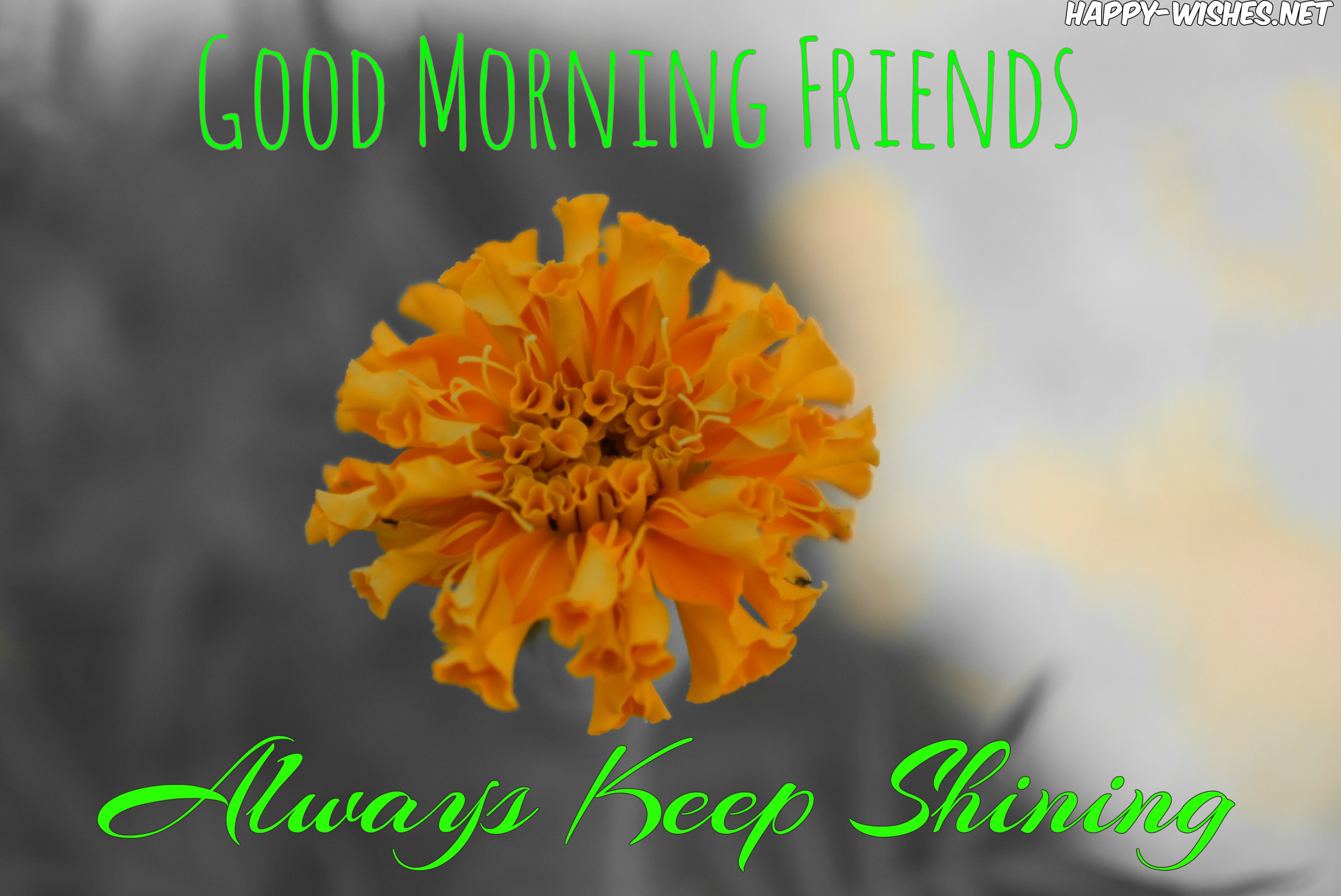 Good morning friends always keep shining