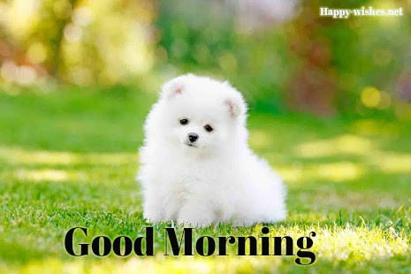 Good morning images for Puppy Lovers