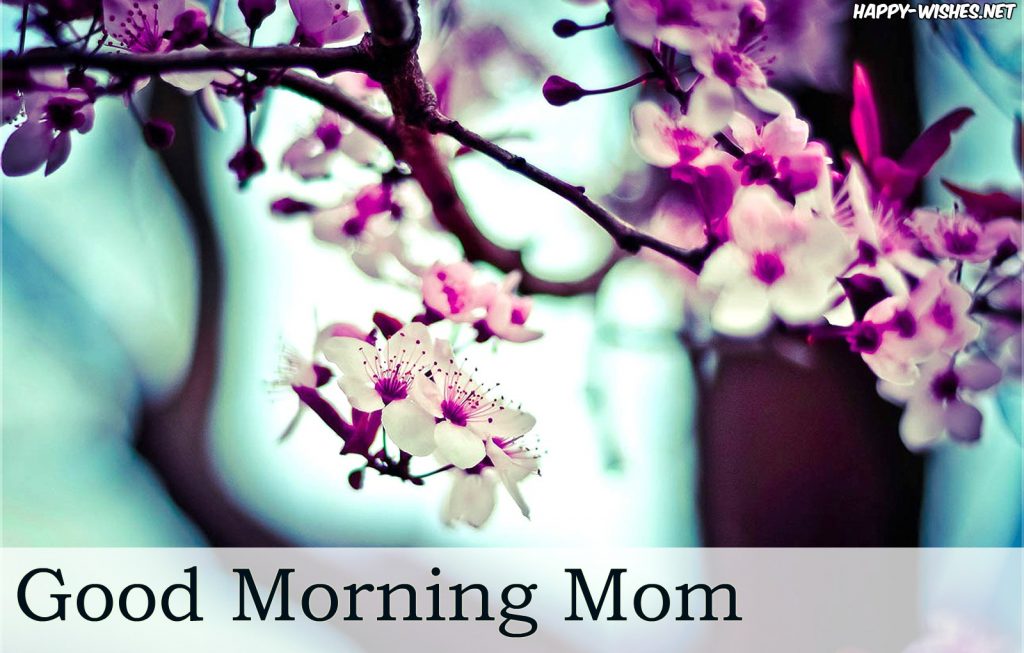 Good morning mom beautiful tree flower images