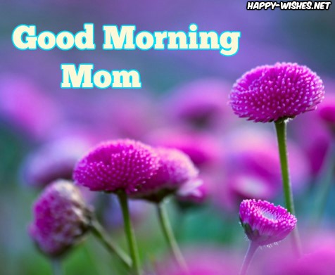 Good morning mom images with pink flower