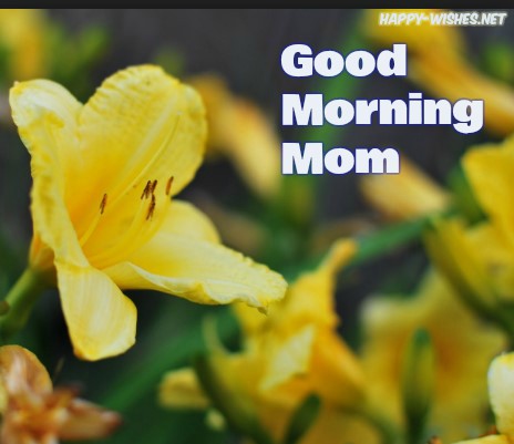 Good morning mom sweet images
