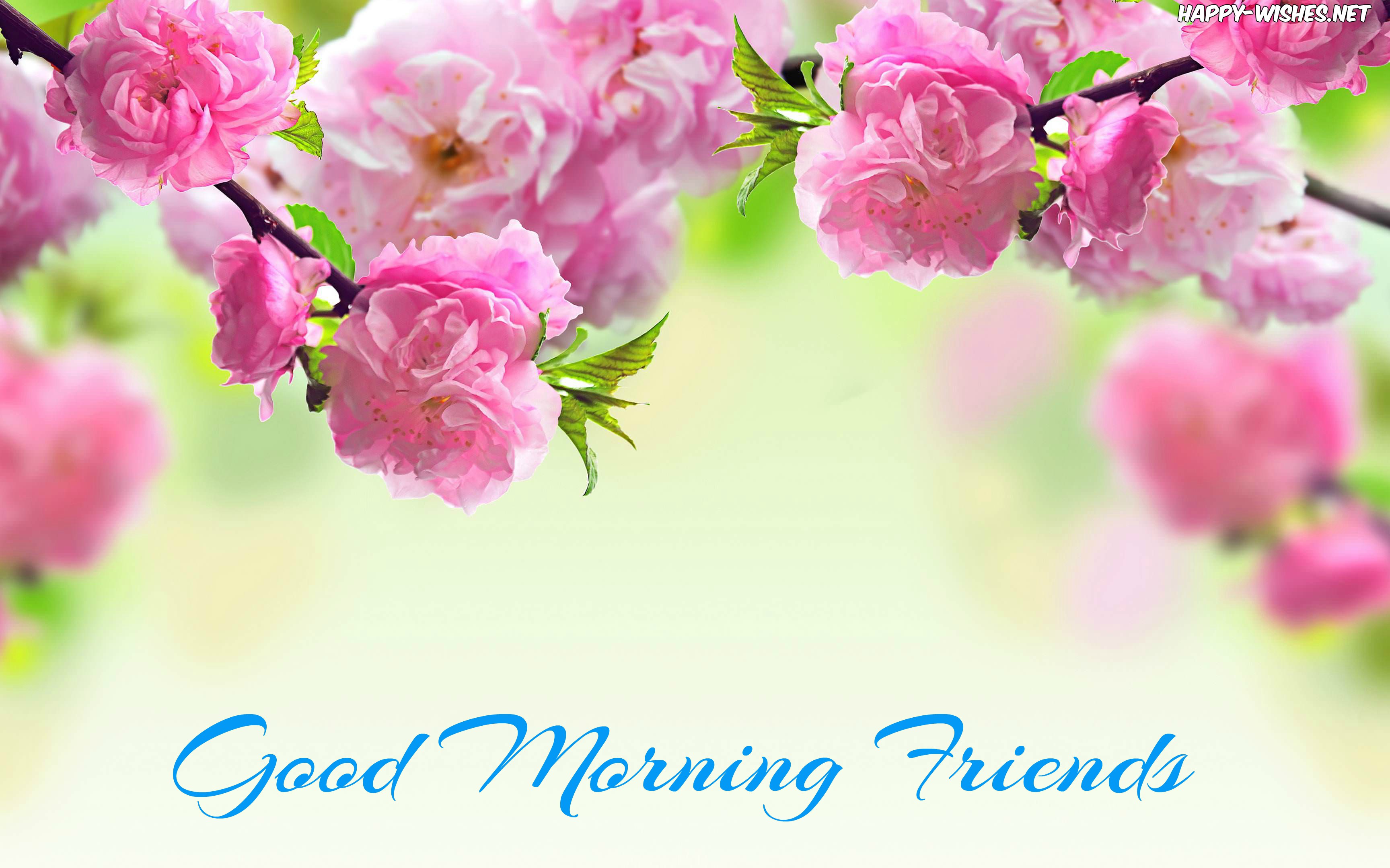 Good morning wishes with pink back ground images