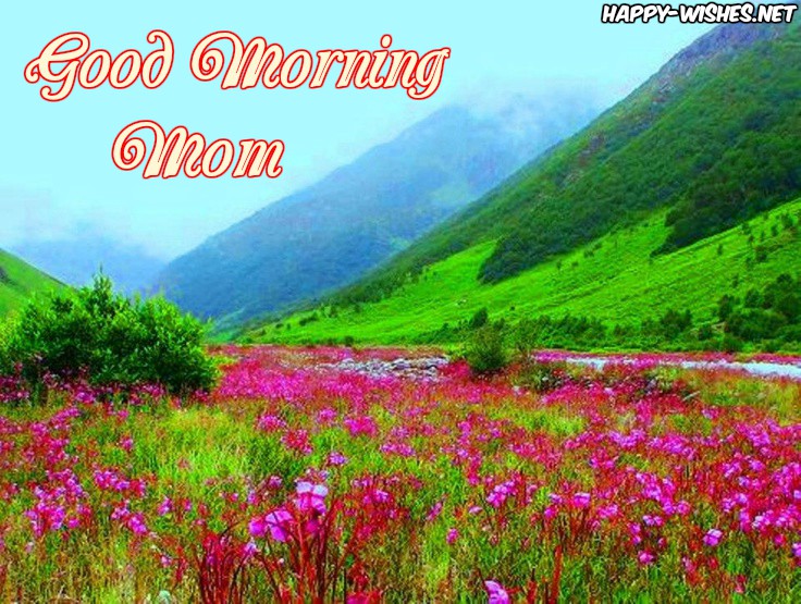 Greeneary images Good morning mom images