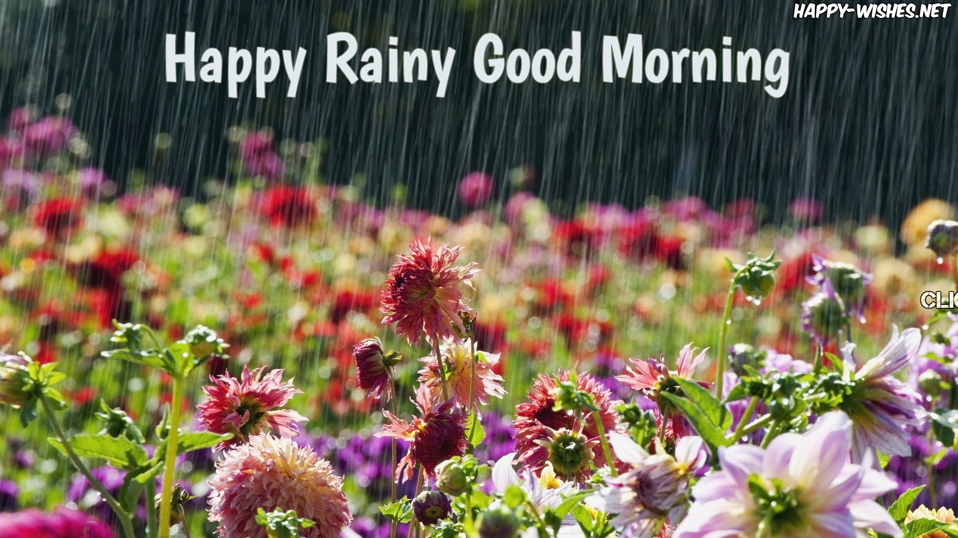 Rainy Good Morning Wishes In English