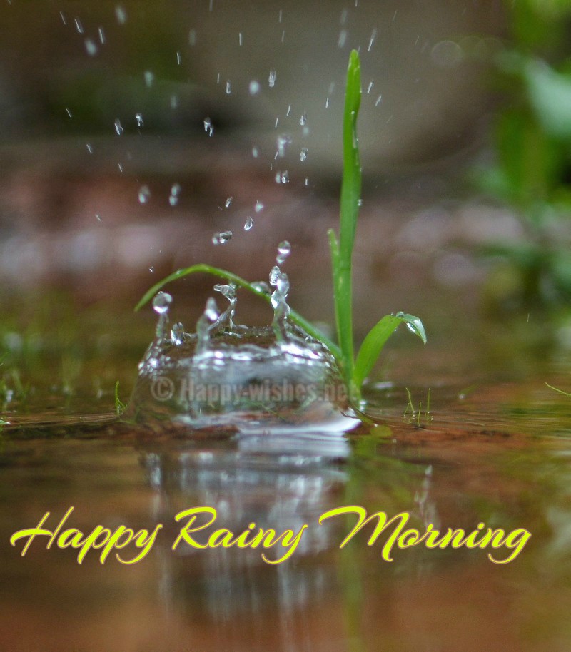 Good Morning Wishes Images For A Rainy Day.