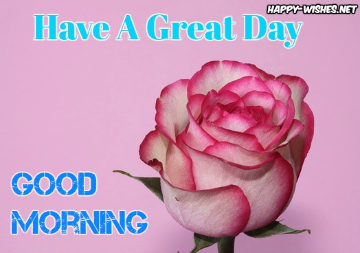 Have A great day good morning images pink roses images
