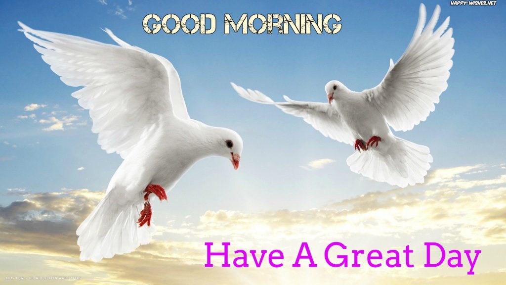 Have A great day good morning images with white birds images
