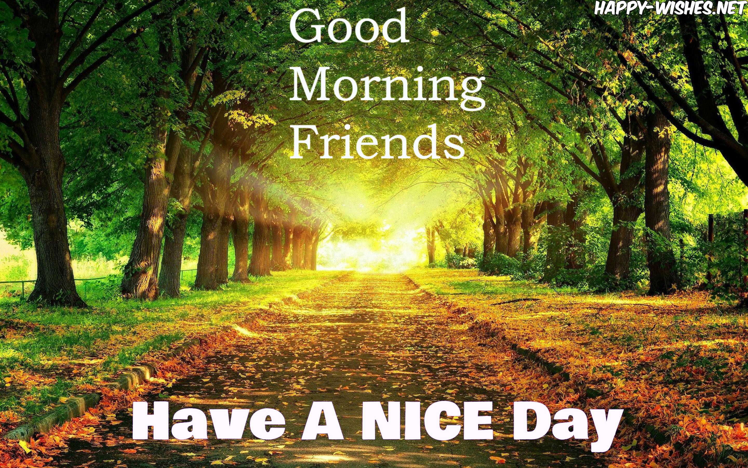 Have a nice day friends