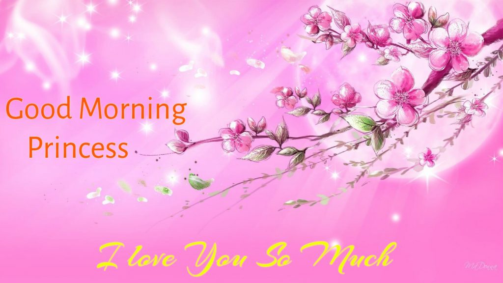 Lovely Good Morning Princess Images