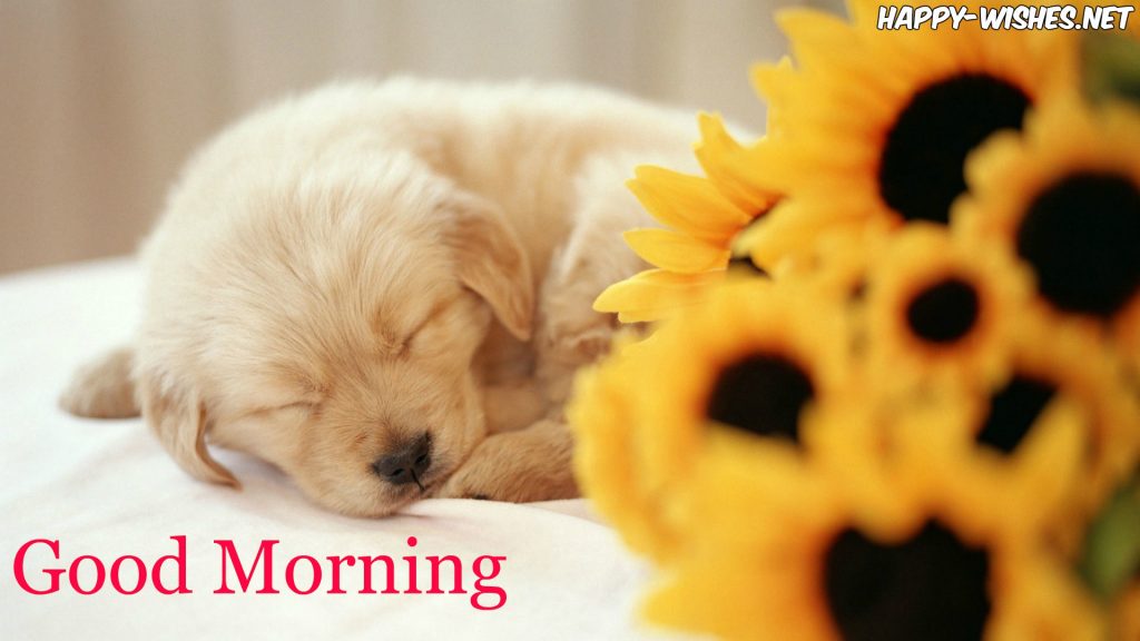 MORNING IMAGES FOR Puppy Lovers