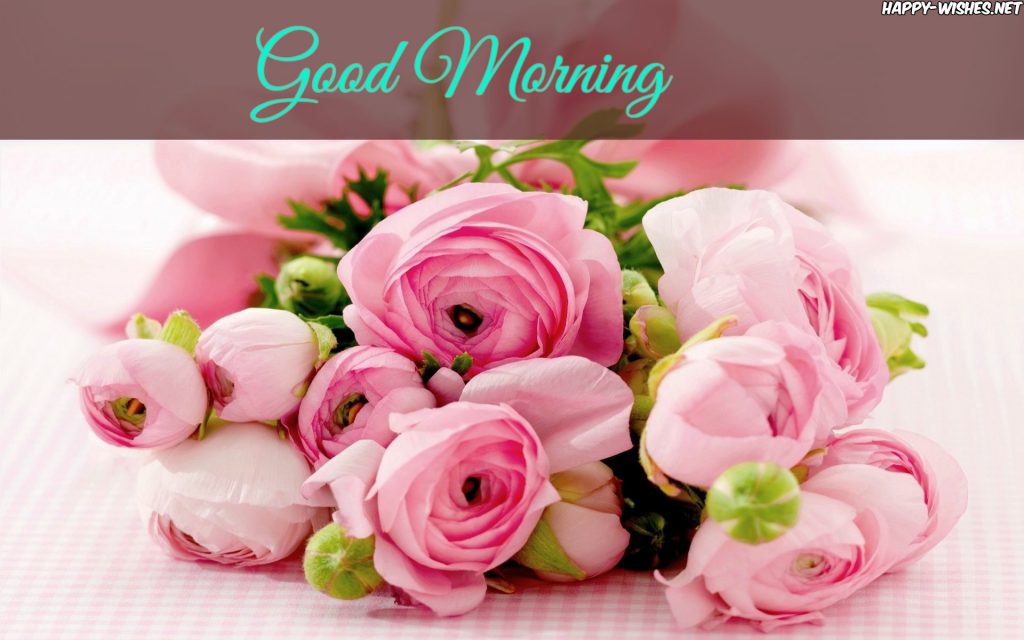 Pink red Roses Good Morning Images