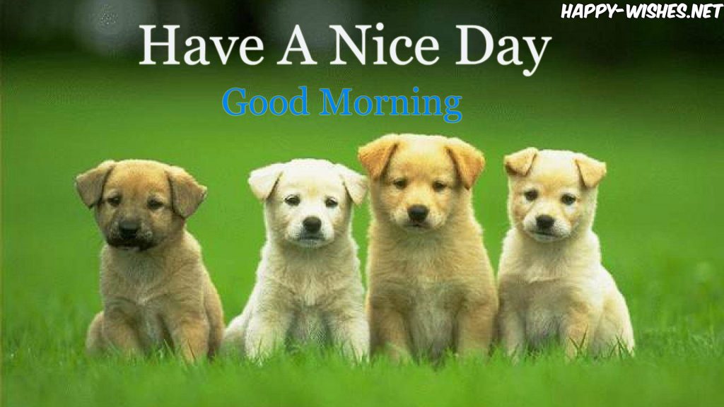 Puppy Group Good Morning Images for Puppy Lovers