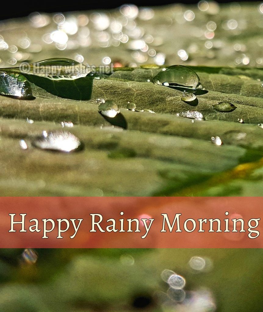 Good morning картинки дождь