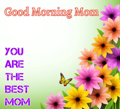 Spring-flower-beautiful-Good morning mom images
