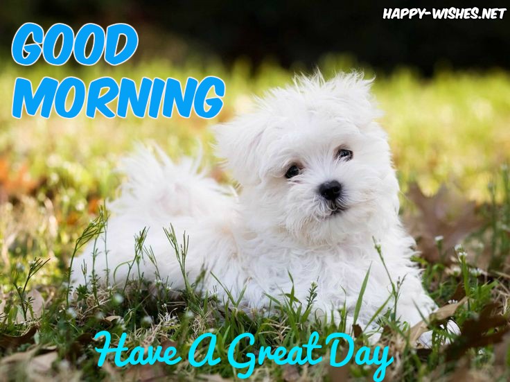 cute white puppy Good Morning Images for Puppy Lovers