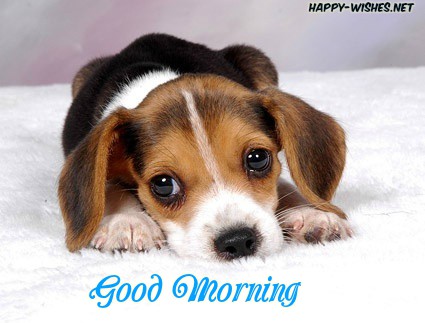 miss you Good Morning Images for puppy lovers