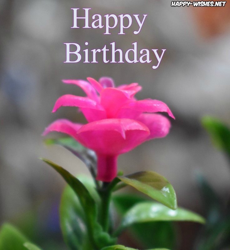 Happy Birthday Plastic flower images