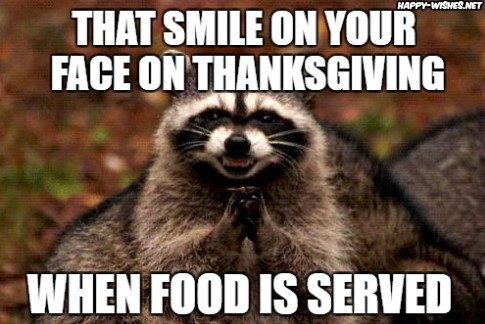 Best Thanksgiving memes