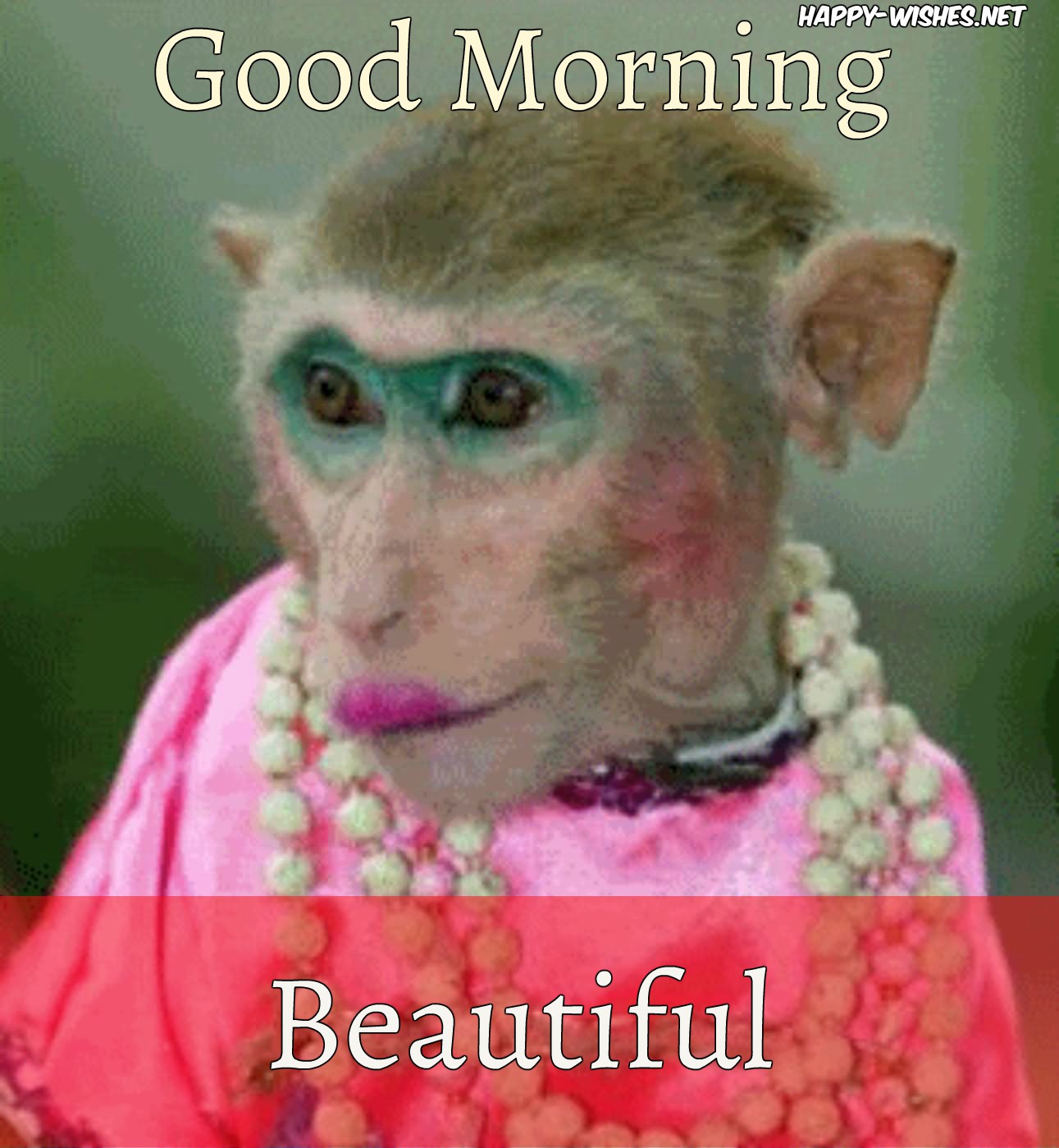 8 Good Morning Wishes With Monkey Images