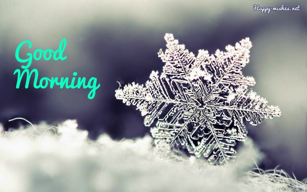 Good Morning Winter images with Snowy Backgrounds